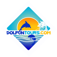 The Florida Beach Break Directory Dolfun Tours in Melbourne FL