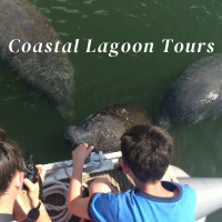 the Florida Beach Break Directory Coastal Lagoon Tours in Merritt Island FL