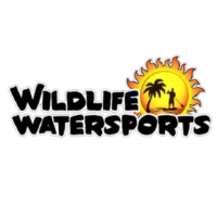 the Florida Beach Break Directory Wildlife Watersports in Cocoa Beach FL