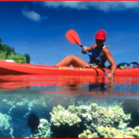the Florida Beach Break Directory Cocoa Beach Kayaking in Cocoa Beach FL